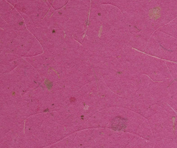 Berry – The Pink Pig