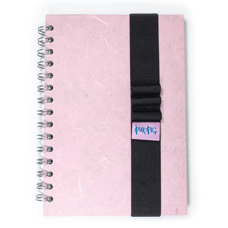 Pink Pig Book Band