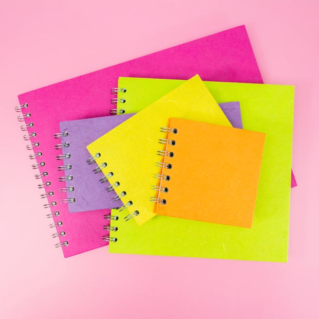 THE BRIGHT COLLECTION!
