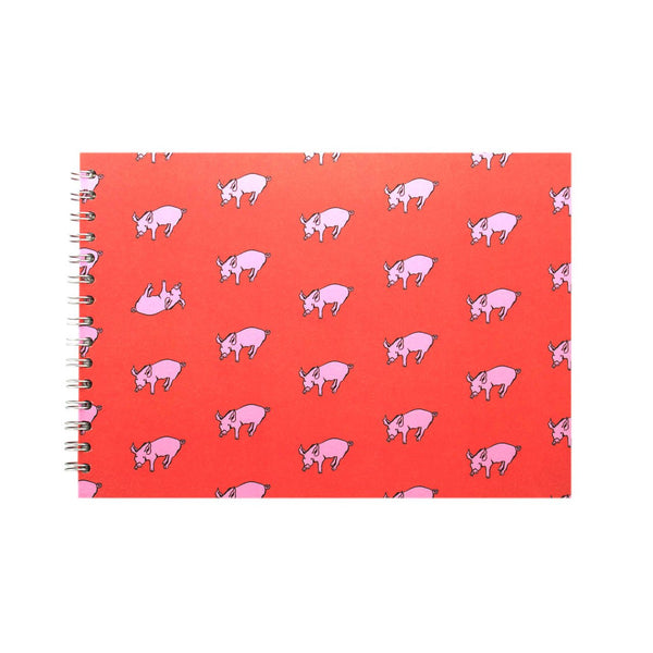 A4 Landscape, Rooster Red Display Book by Pink Pig International